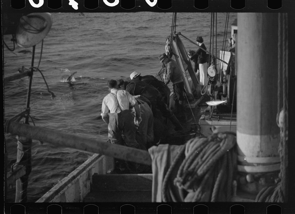 [Untitled photo, possibly related to: Aboard a trawler (locally called a dragger). The power-driven winch lets out the…