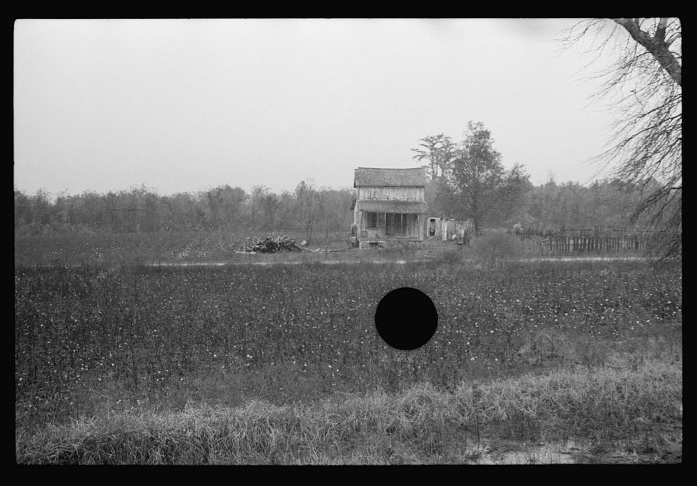 [Untitled photo, possibly related to: Home of sharecroppers, Arkansas]. Sourced from the Library of Congress.
