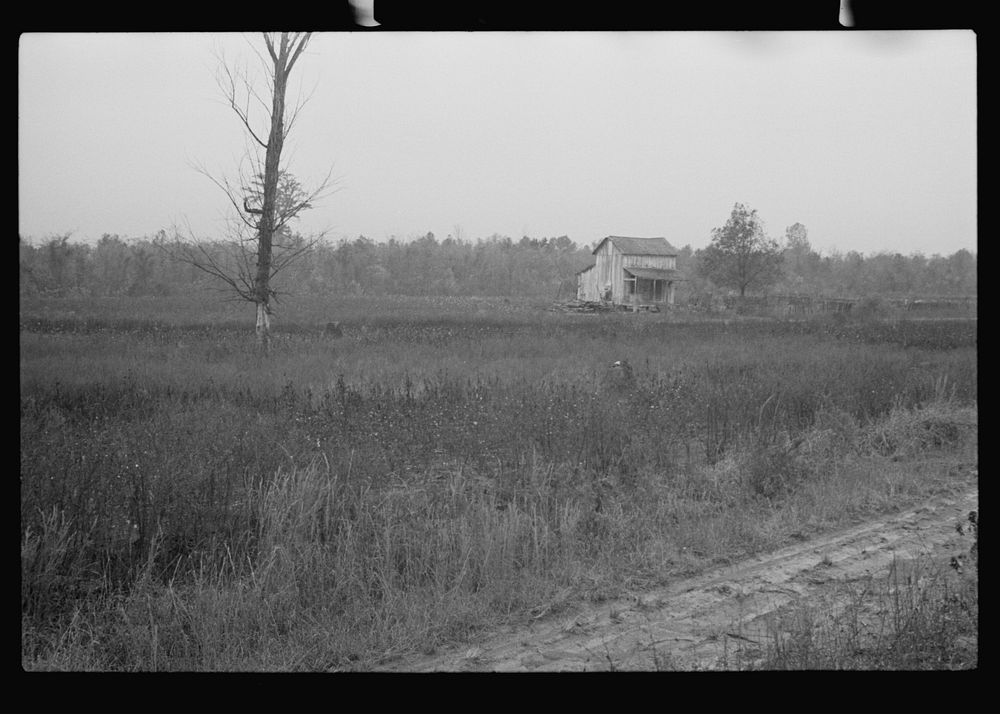 [Untitled photo, possibly related to: Home of sharecroppers, Arkansas]. Sourced from the Library of Congress.