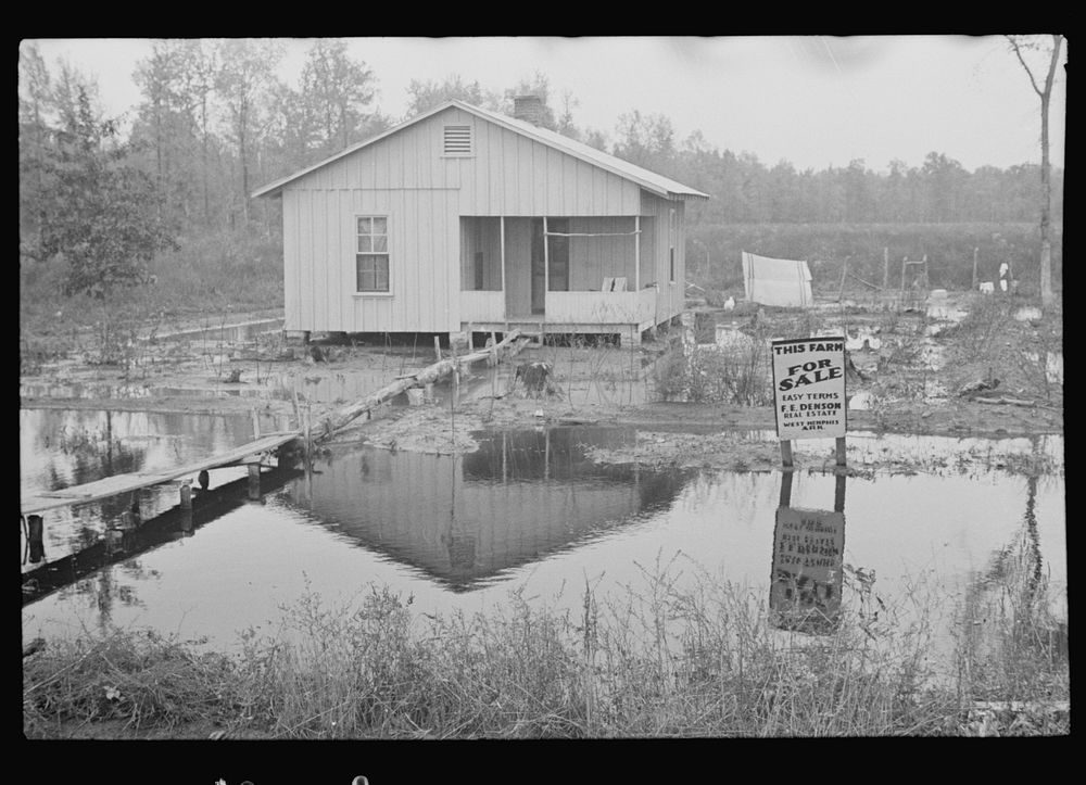 Farm in Pulaski County, Arkansas. Sourced from the Library of Congress.