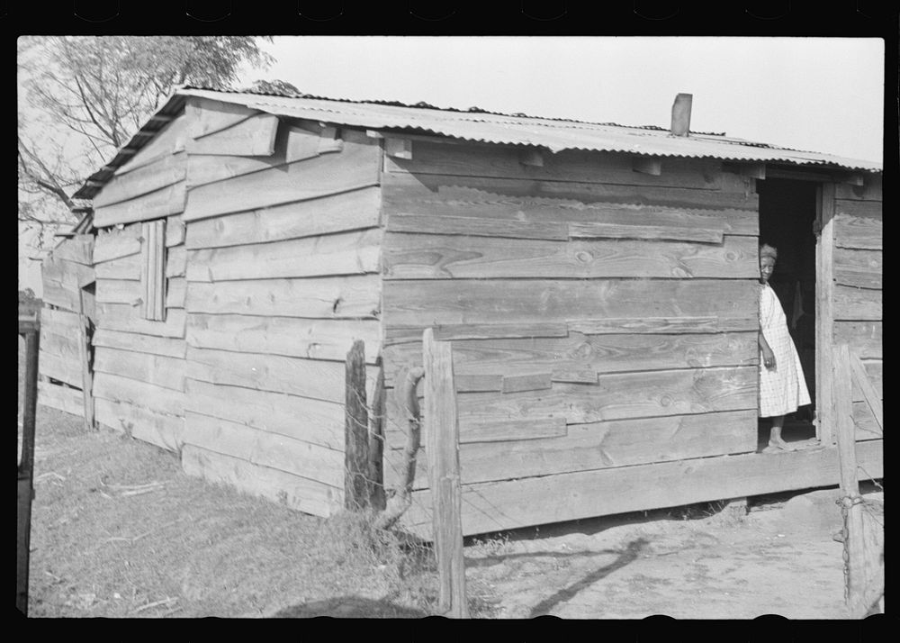 [Untitled photo, possibly related to: Strawberry grower's shack, Hammond, Louisiana]. Sourced from the Library of Congress.