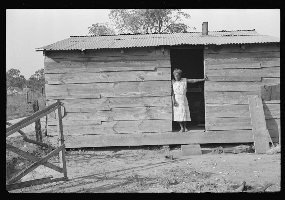 Strawberry grower's shack, Hammond, Louisiana. Sourced from the Library of Congress.