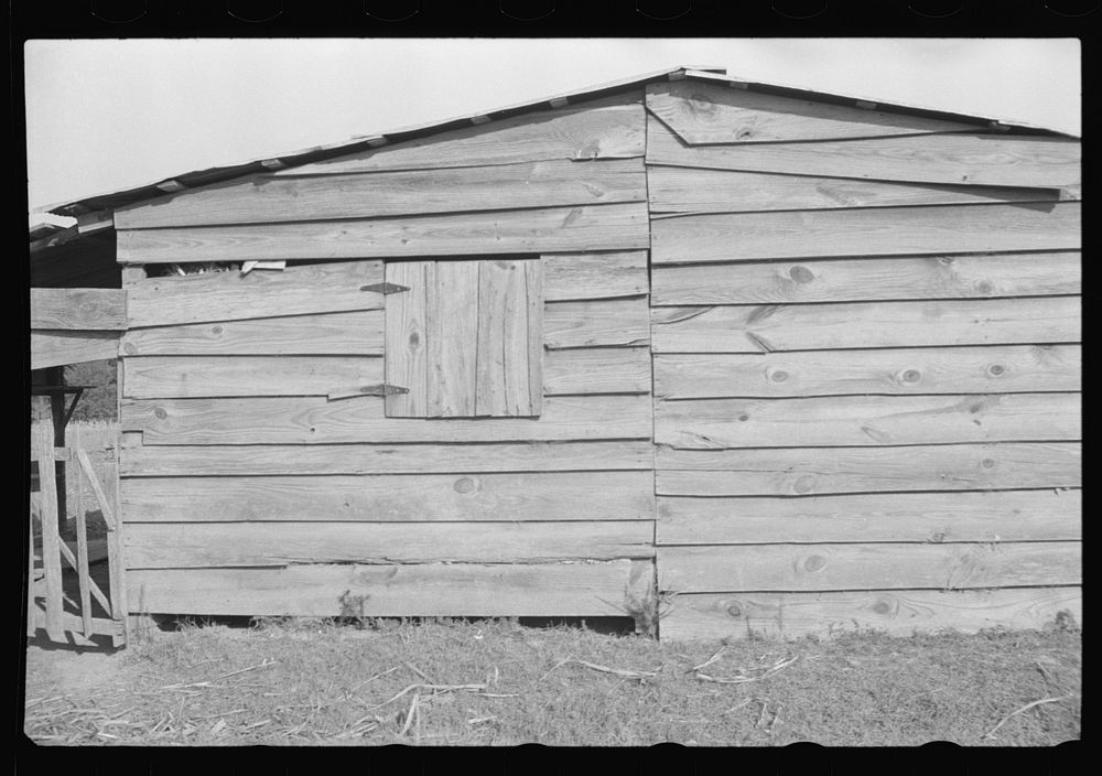 Strawberry picker's hut, Hammond, Louisiana. Sourced from the Library of Congress.