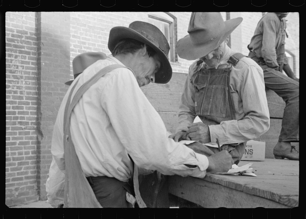 [Untitled photo, possibly related to: Strawberry growers, Hammond, Louisiana]. Sourced from the Library of Congress.