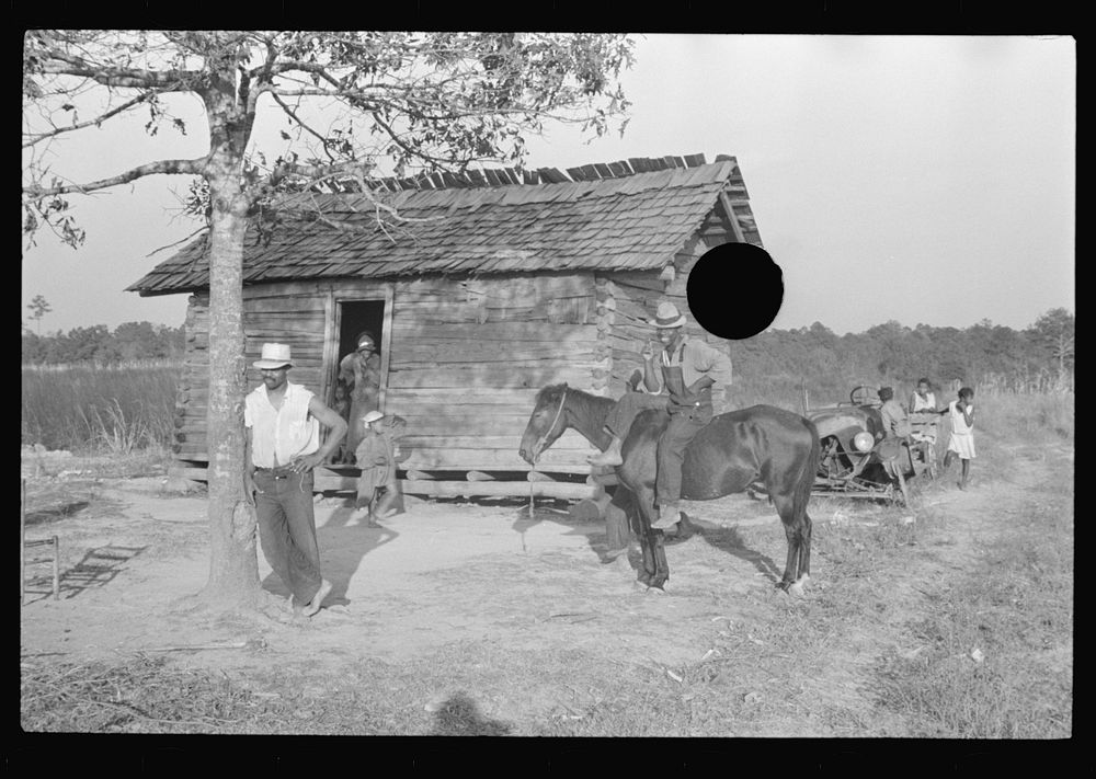 [Untitled photo, possibly related to: Strawberry picker, Hammond, Louisiana]. Sourced from the Library of Congress.