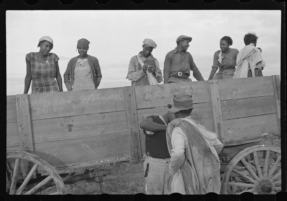 Cotton pickers at end of day's work, Pulaski County, Arkansas. Sourced from the Library of Congress.