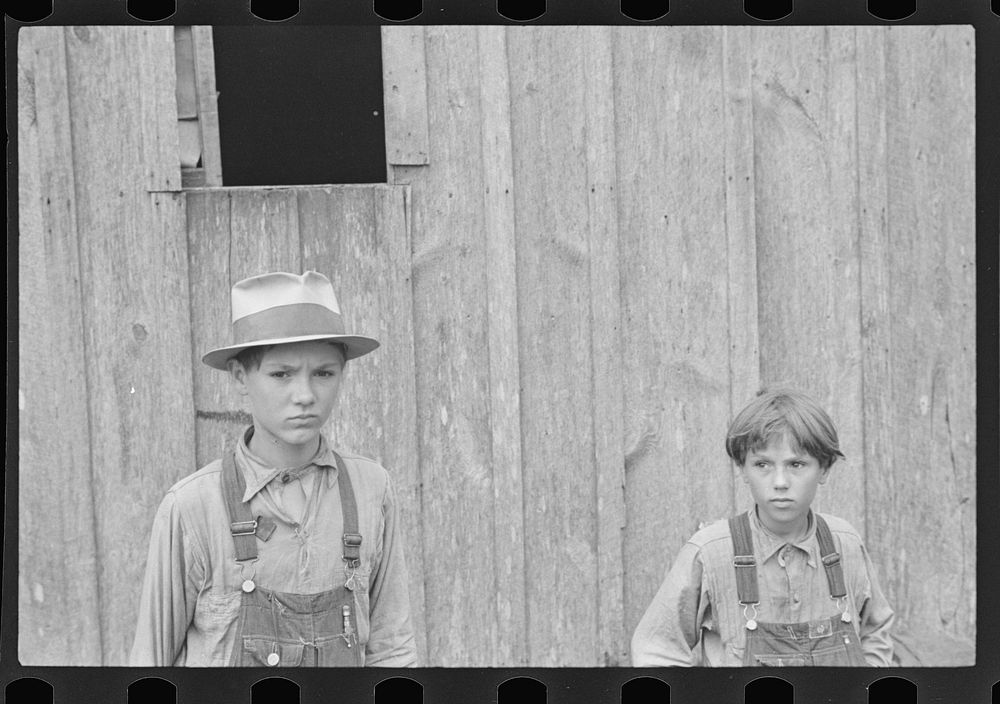 [Untitled photo, possibly related to: Sam Nichols, tenant farmer, Boone County, Arkansas]. Sourced from the Library of…