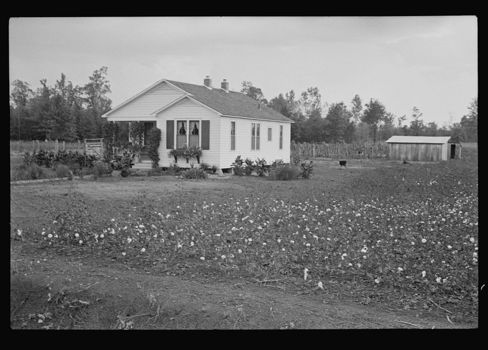 Resettlement house in Dyess Colony, Arkansas. Sourced from the Library of Congress.