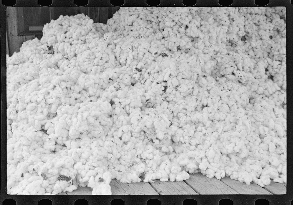 Cotton on porch of sharecropper's home. Maria plantation, Arkansas. Sourced from the Library of Congress.