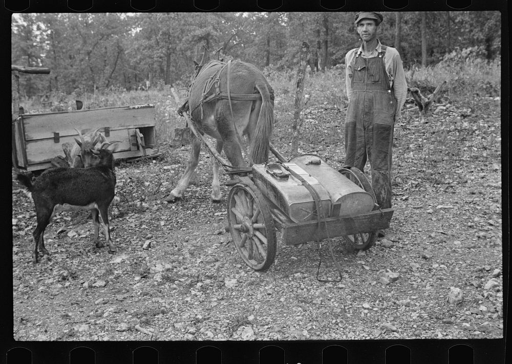Sharecropper with homemade water wagon, Arkansas. Sourced from the Library of Congress.