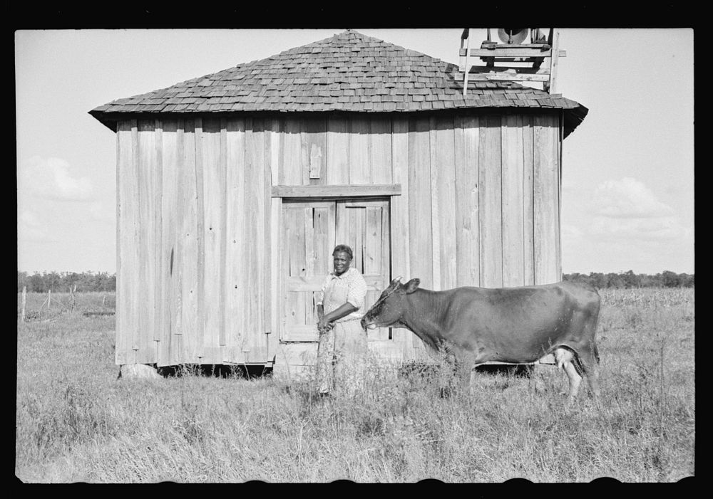 Sharecropper, Pulaski County, Arkansas, "Mother Lane". Sourced from the Library of Congress.