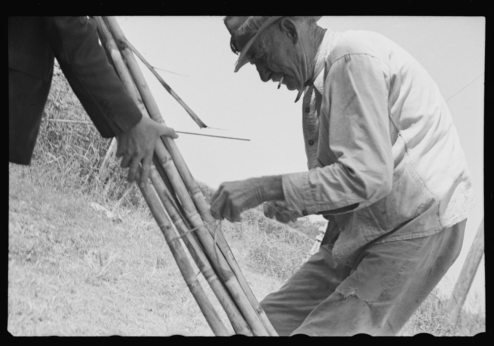 Sugarcane grower, Plaquemines Parish, Louisiana. Sourced from the Library of Congress.