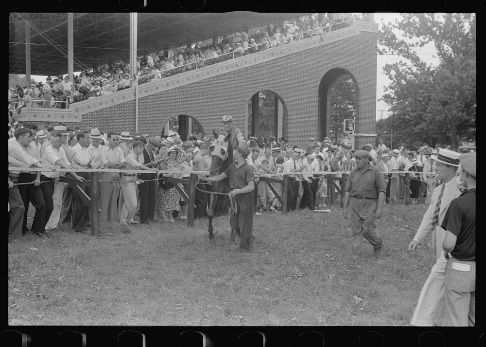 Parading horse before race, Lancaster, Ohio. Sourced from the Library of Congress.