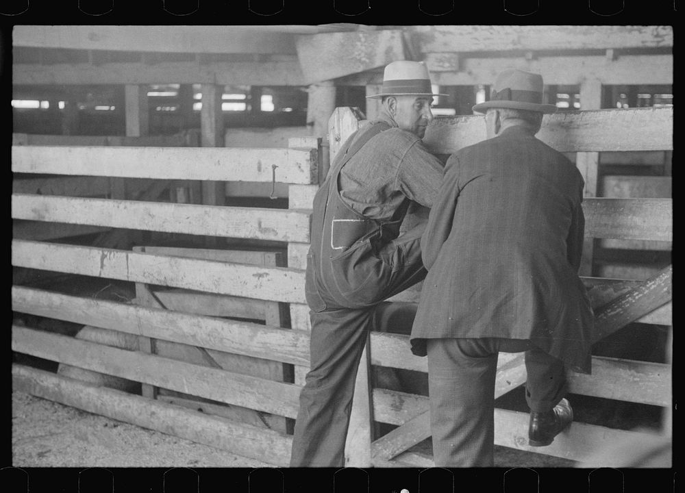 [Untitled photo, possibly related to: Pens at the Pickaway Livestock Cooperative Association, central Ohio (see general…