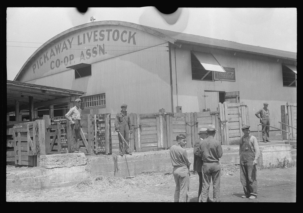 Unloading platform at the Pickaway Livestock Cooperative Association, central Ohio. Sourced from the Library of Congress.