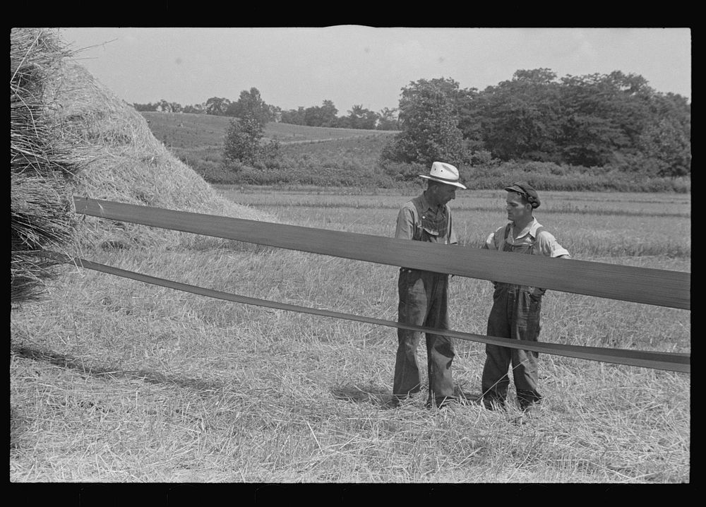 Two members of threshing crew standing by belt which supplies power for separator, central Ohio. One on left is Virgil…