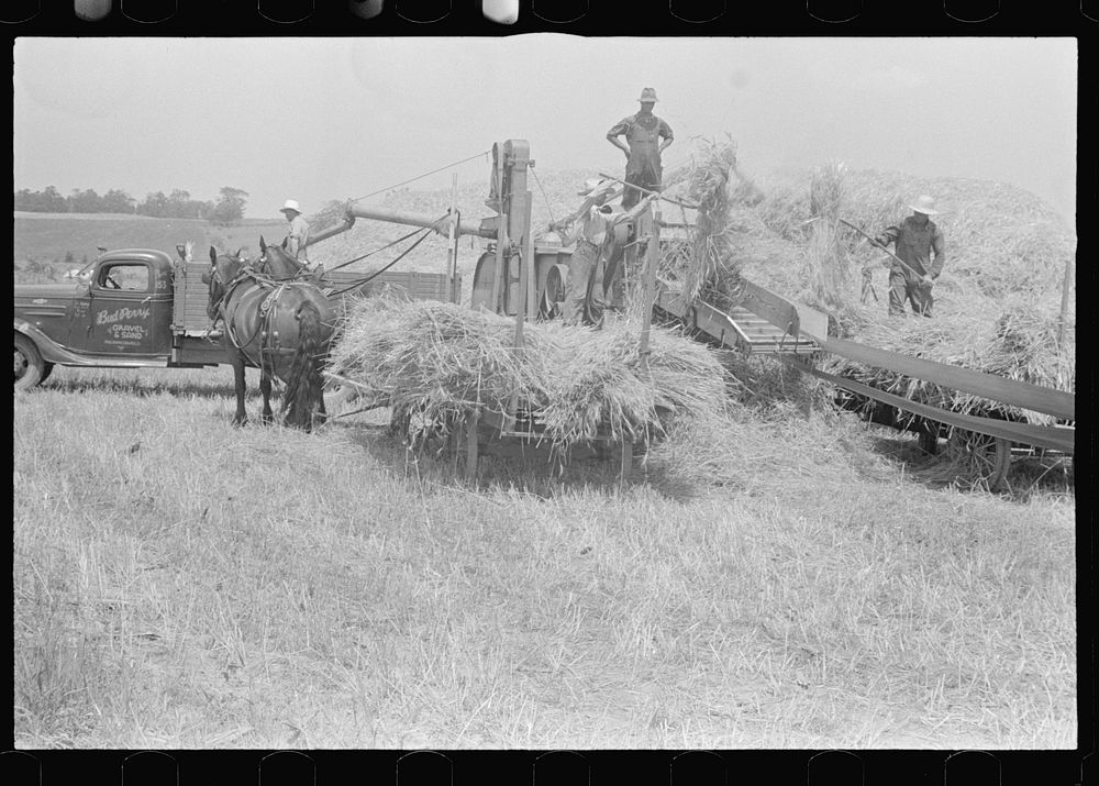 [Untitled photo, possibly related to: Filling truck with threshed grain, central Ohio (see general caption)]. Sourced from…