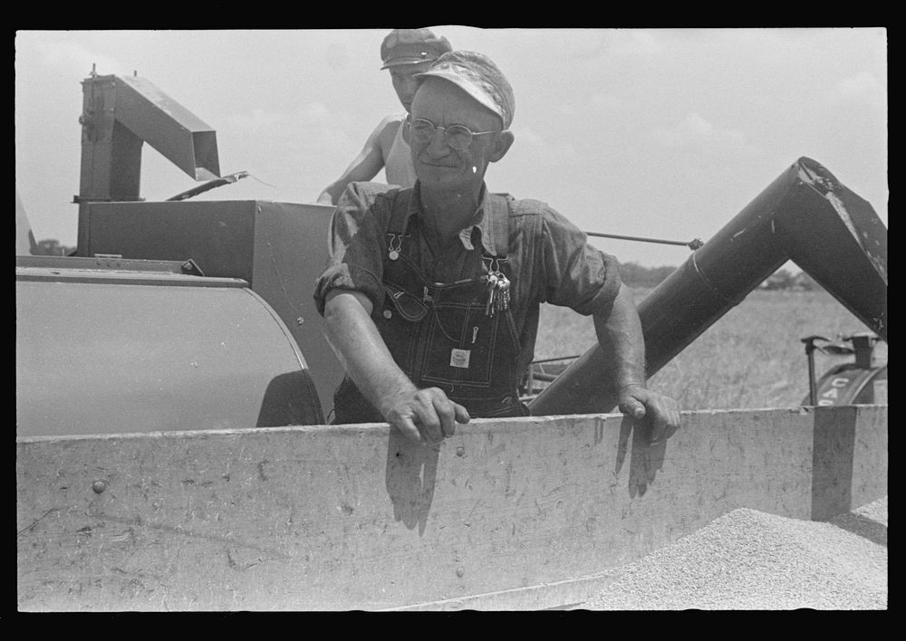 [Untitled photo, possibly related to: Dumping wheat into truck from combine, central Ohio]. Sourced from the Library of…