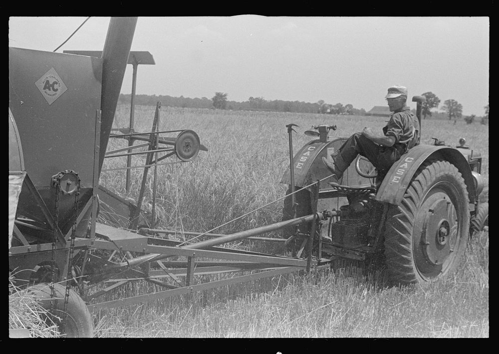 [Untitled photo, possibly related to: Combing wheat, central Ohio]. Sourced from the Library of Congress.