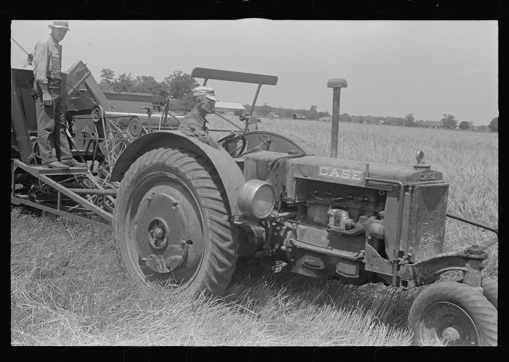 Combing wheat, central Ohio. Sourced from the Library of Congress.