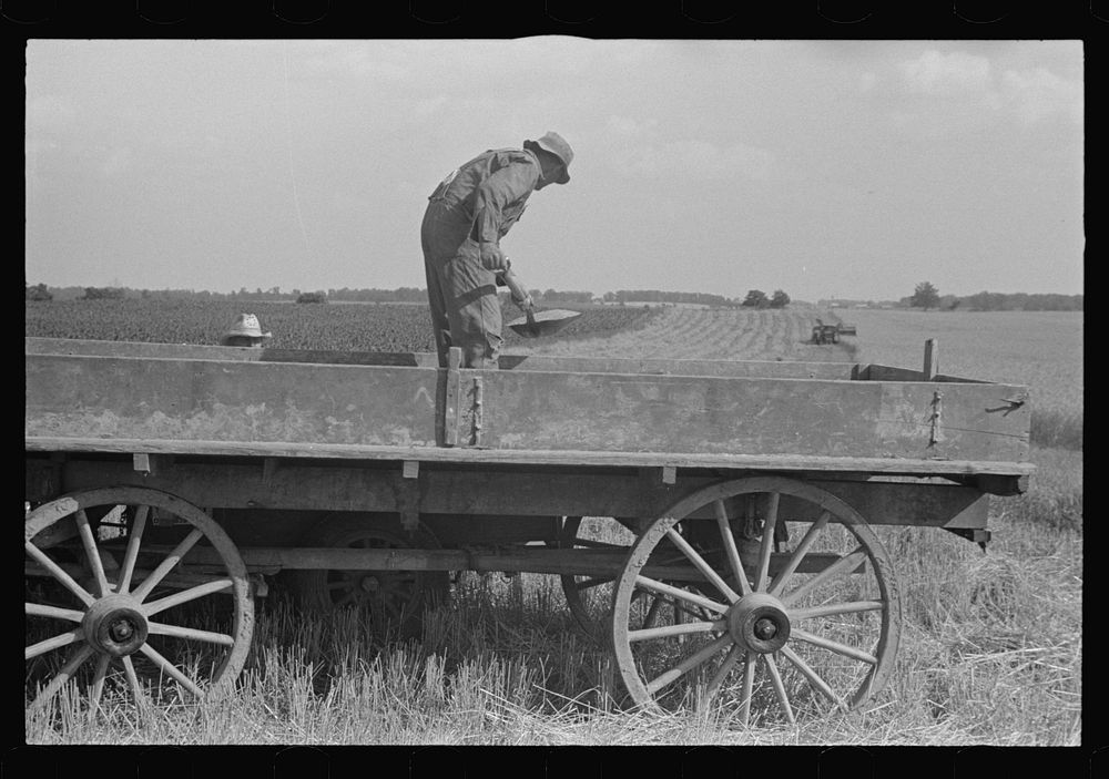 Wagon hauling threshed wheat field, | Free Photo - rawpixel