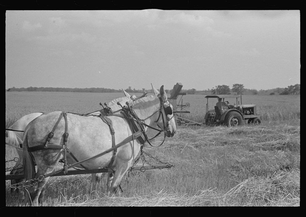 [Untitled photo, possibly related to: Wagon for hauling threshed wheat from field, central Ohio]. Sourced from the Library…