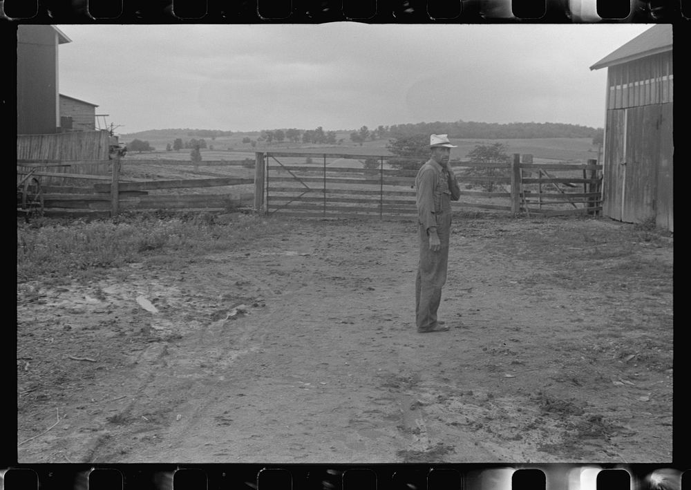 Virgil Thaxton, farmer, in barnyard of Thaxton farm, near Mechanicsburg, Ohio. Sourced from the Library of Congress.
