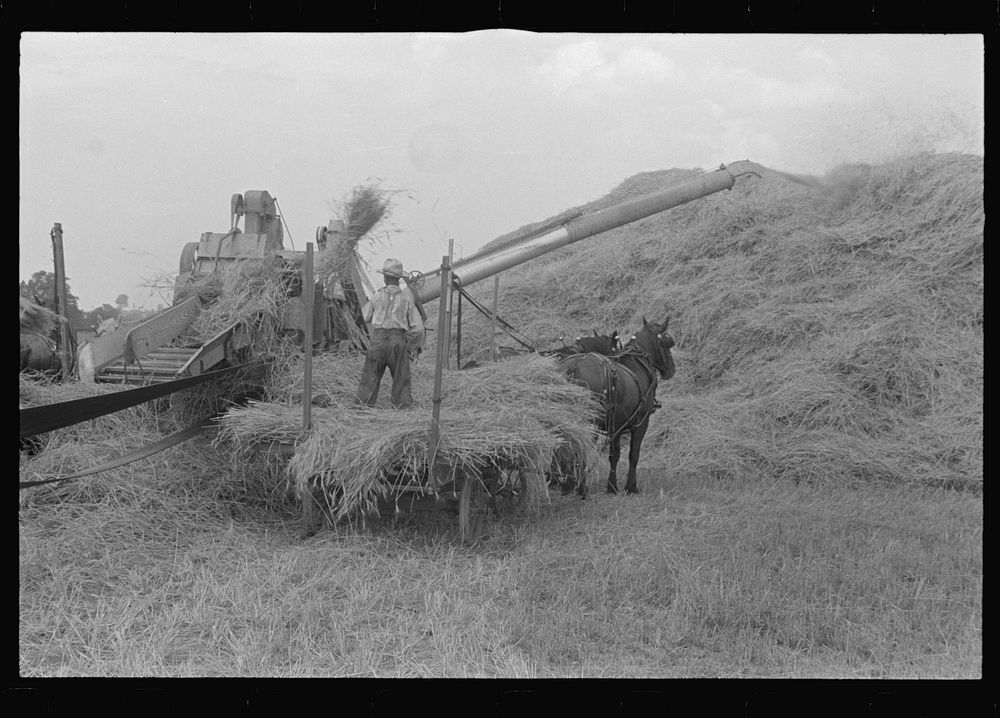 [Untitled photo, possibly related to: Threshing wheat in central Ohio]. Sourced from the Library of Congress.