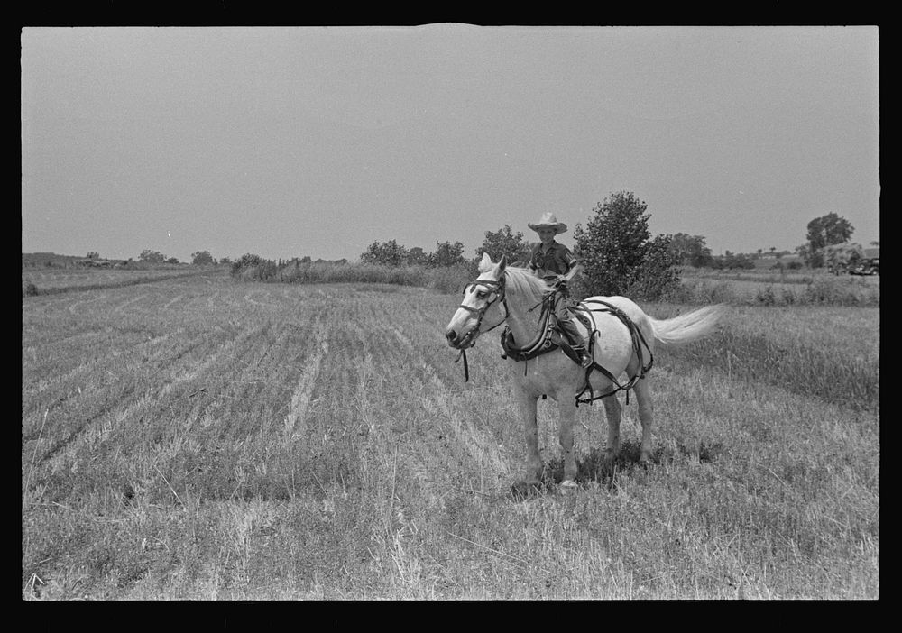 [Untitled photo, possibly related to: Wheat stubble, central Ohio]. Sourced from the Library of Congress.