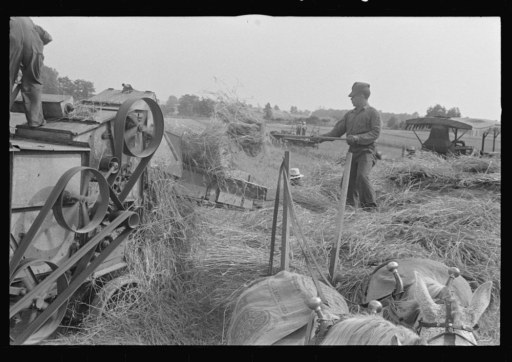 Threshing wheat in central Ohio. Sourced from the Library of Congress.