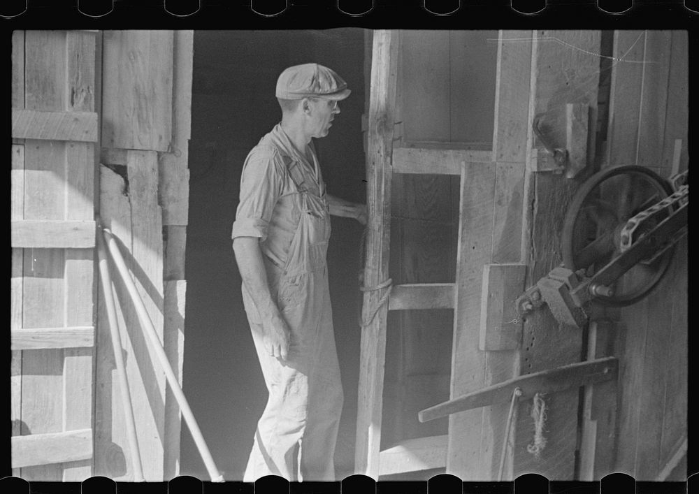 [Untitled photo, possibly related to: Unloading truck inside grain elevator, Plain City, Ohio]. Sourced from the Library of…