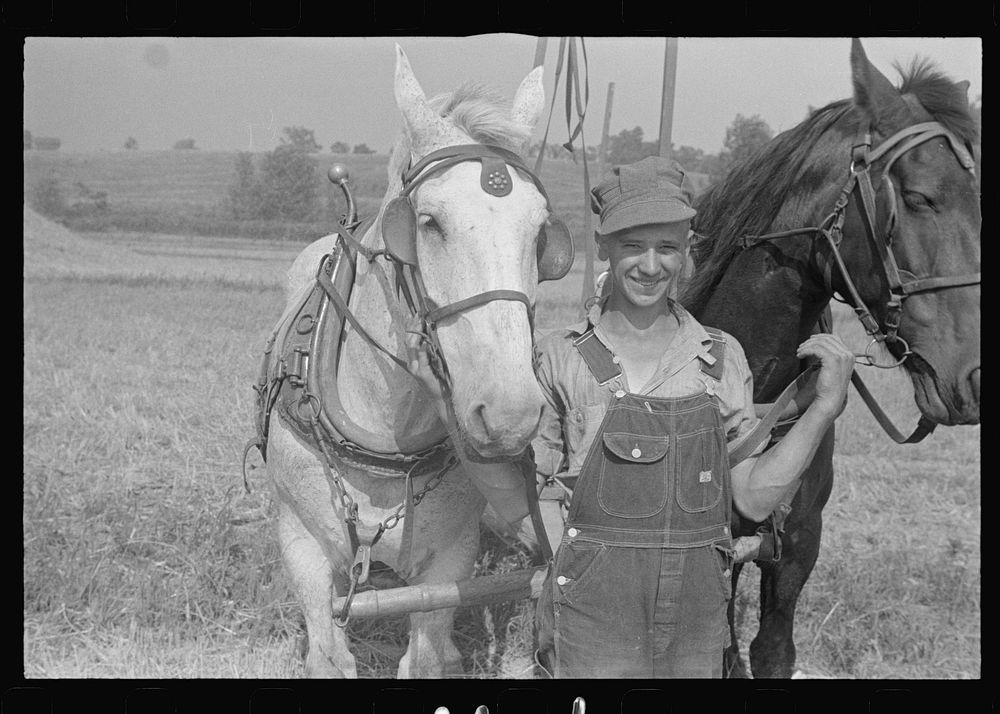 Mechanicsburg (vicinity), Ohio. Harvest hand and helper on the Virgil Thaxton farm. Sourced from the Library of Congress.