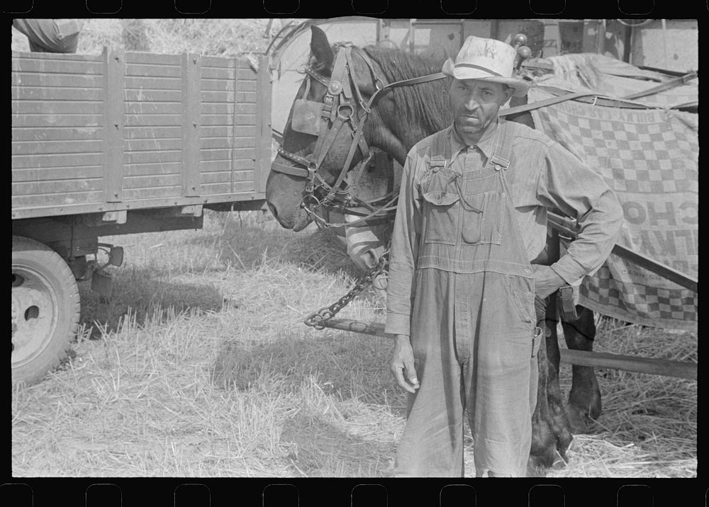 Harvest hand and helper on the Virgil Free Photo rawpixel