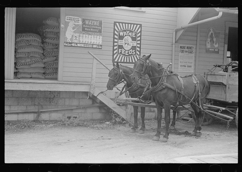 Wagon outside of feed store, Plain City, Ohio. Sourced from the Library of Congress.