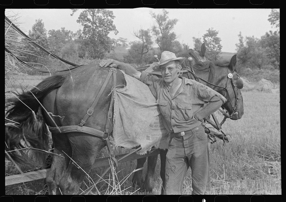 Harvest hand and helper Virgil Free Photo rawpixel