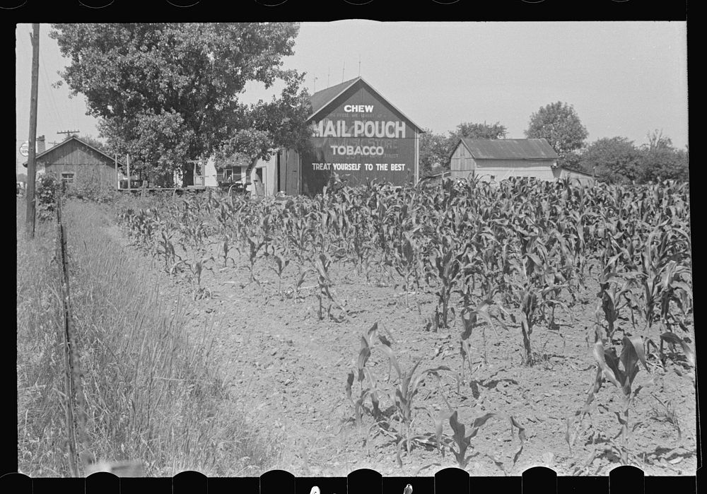 Barn advertising in central Ohio on Route 40 (see general caption). Sourced from the Library of Congress.