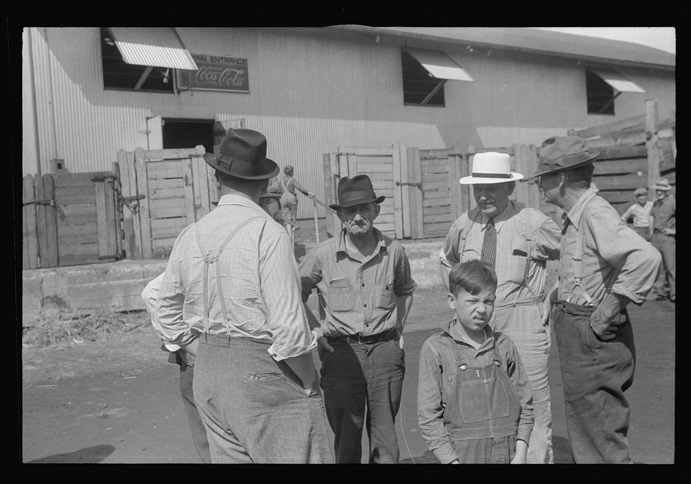 [Untitled photo, possibly related to: Boys by gate, Pickaway Livestock Cooperative Association, central Ohio]. Sourced from…