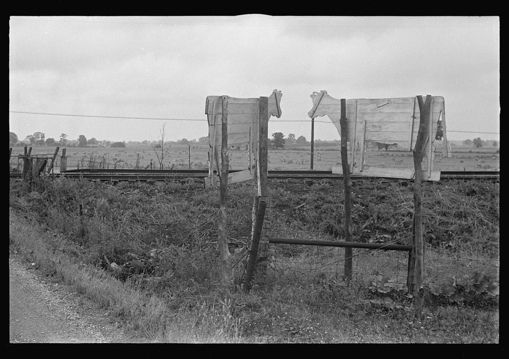 Roadside advertising along Route 40, central Ohio (see general caption). Sourced from the Library of Congress.