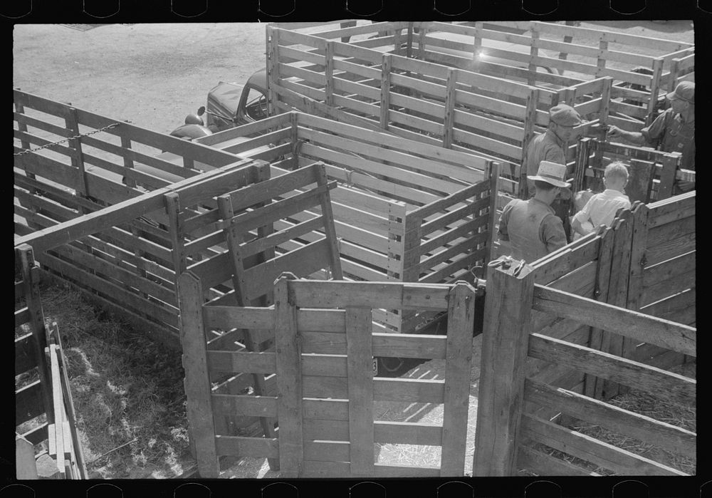 Pens at the Pickaway Livestock Cooperative Association, central Ohio (see general caption). Sourced from the Library of…