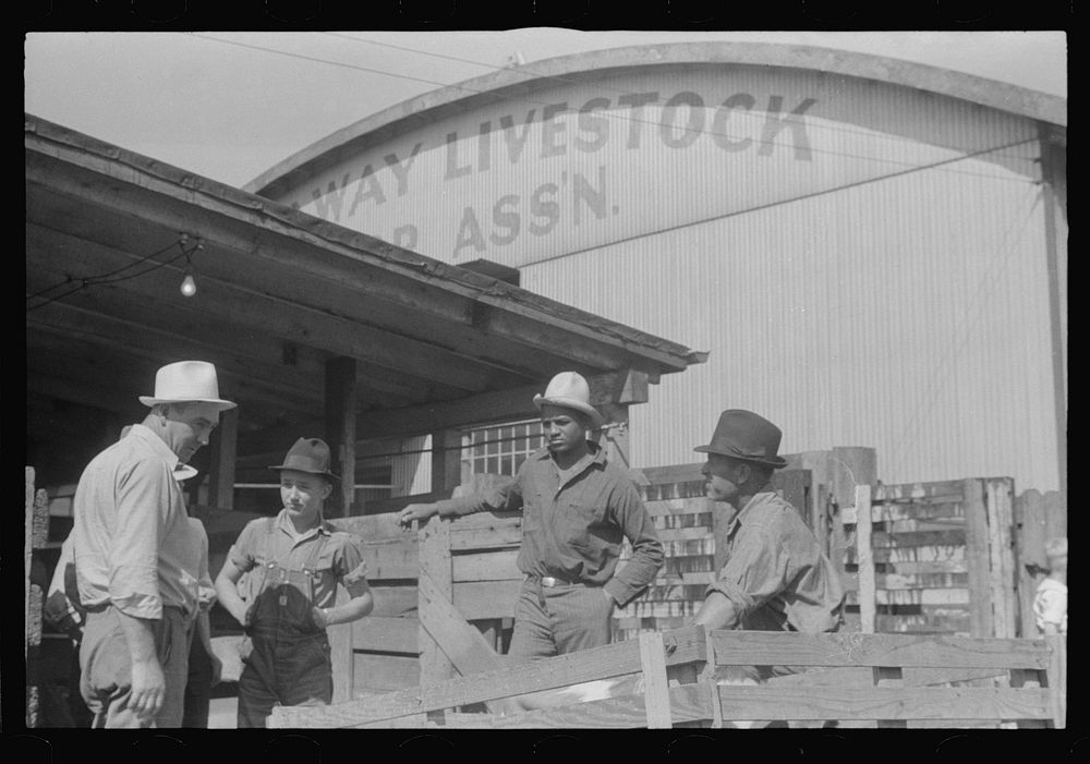[Untitled photo, possibly related to: Stock Cooperative Association, central Ohio (see general caption)]. Sourced from the…