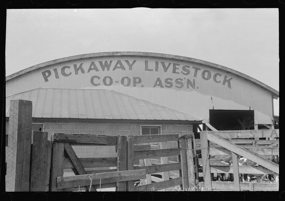 Pens and auction rooms of Pickaway Livestock Cooperative Association, central Ohio. Sourced from the Library of Congress.