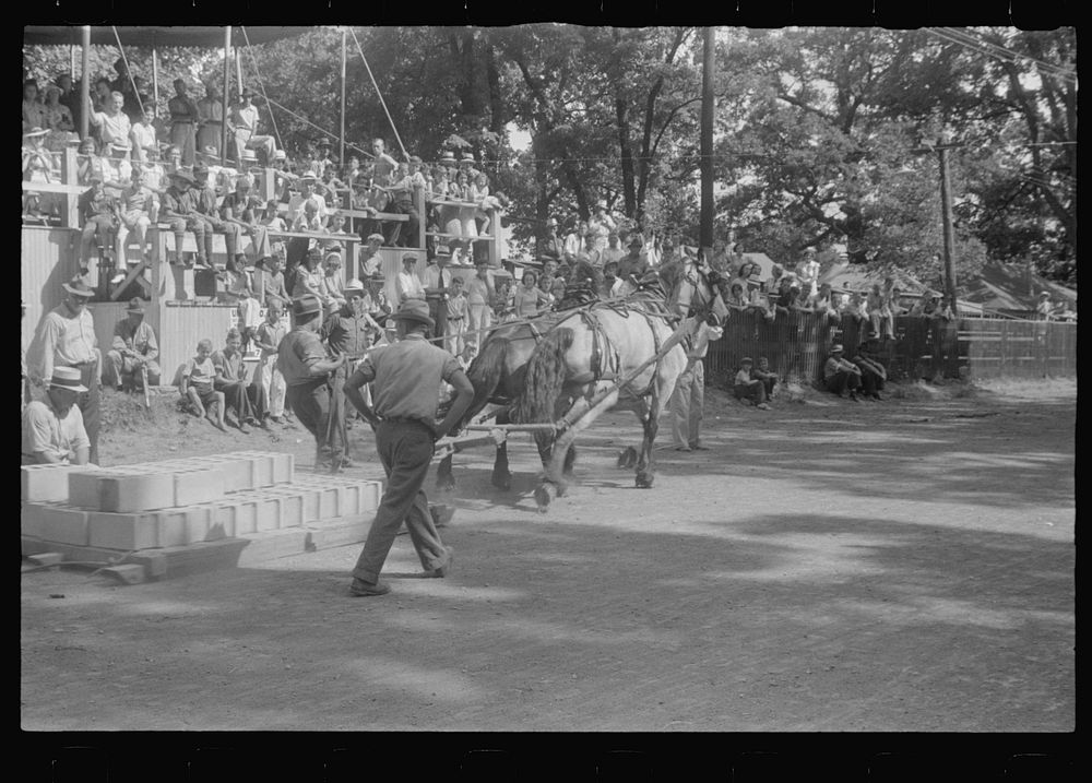 Weight-pulling contest, county fair in central Ohio. Sourced from the Library of Congress.