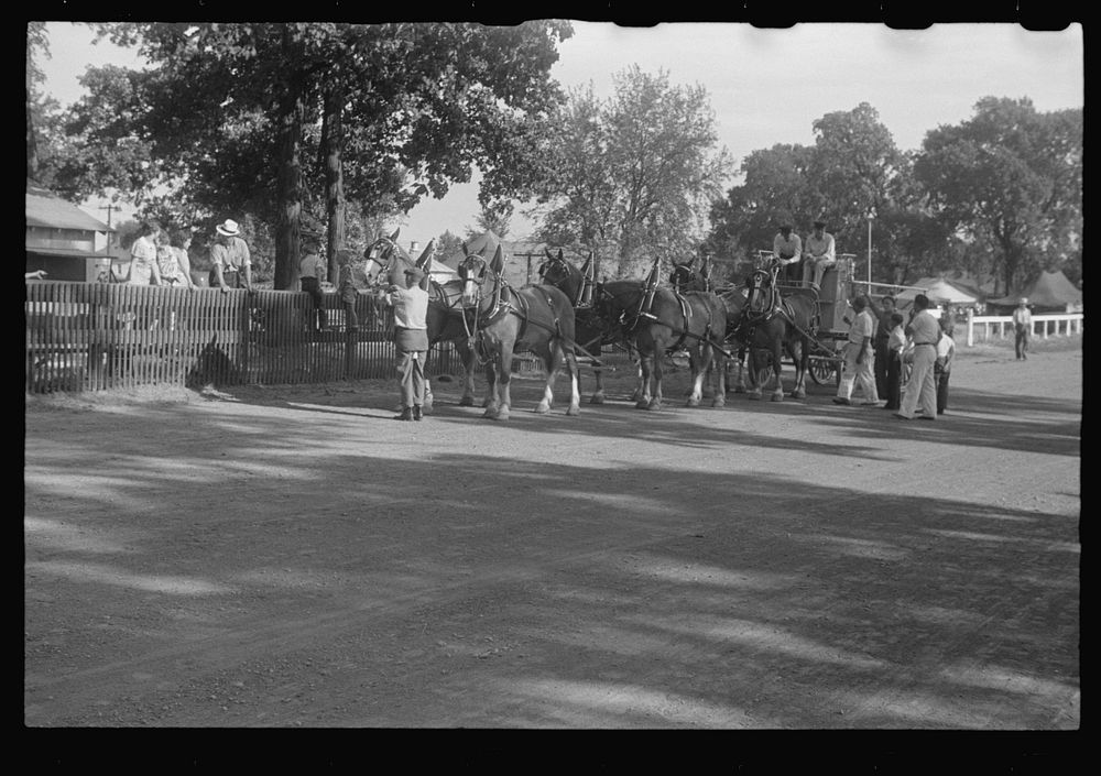 [Untitled photo, possibly related to: Dairy show horses at county fair, central Ohio]. Sourced from the Library of Congress.