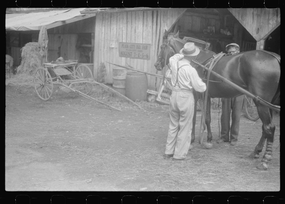 Harnessing horse at county fair in central Ohio. Sourced from the Library of Congress.