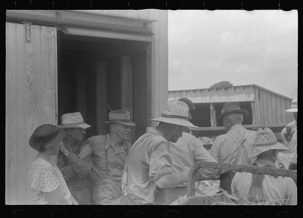 [Untitled photo, possibly related to: Farmers at public auction, central Ohio]. Sourced from the Library of Congress.