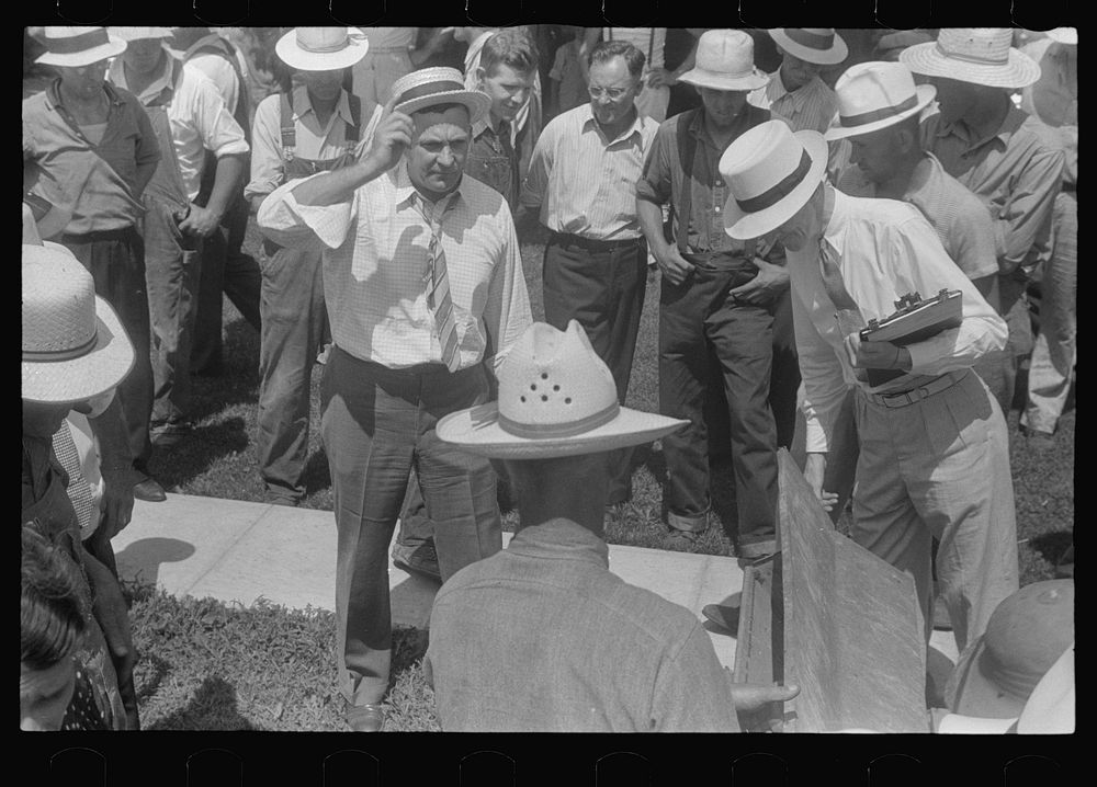 Auctioneer at public auction in central Ohio. Sourced from the Library of Congress.