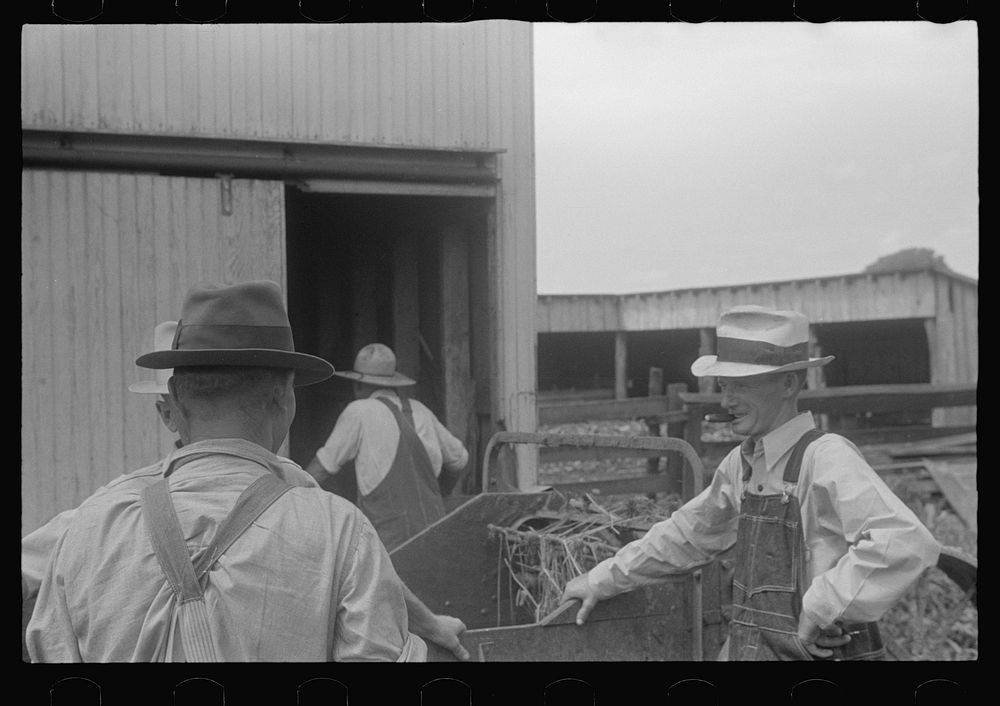 [Untitled photo, possibly related to: Farmers at public auction in central Ohio]. Sourced from the Library of Congress.