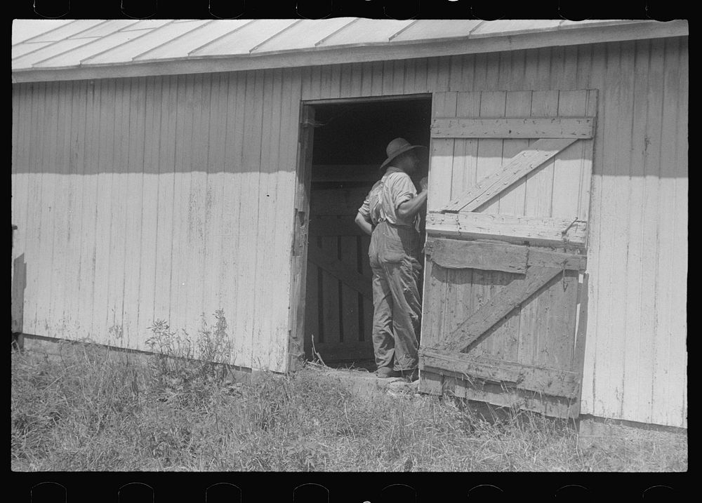Sizing up hay in hayloft, public auction, central Ohio. Sourced from the Library of Congress.
