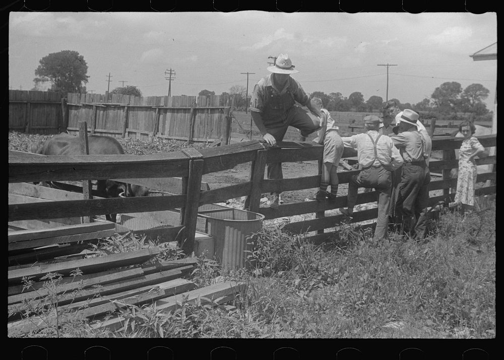 [Untitled photo, possibly related to: Farmers at public auction, central Ohio]. Sourced from the Library of Congress.