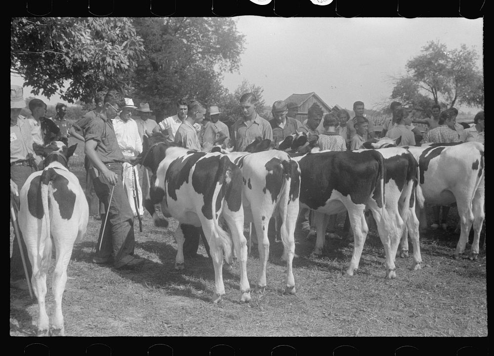 [Untitled photo, possibly related to: At the county fair, central Ohio]. Sourced from the Library of Congress.